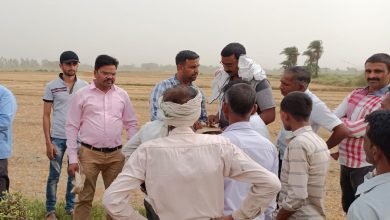 100 बीघा जमीन कब्जा मुक्त कराई