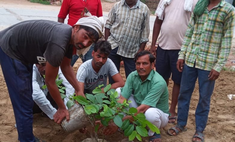 कासगंज: वृक्ष लगाओ पर्यावरण बचाओ, जाट सेवा संघ के जिला अध्यक्ष ने किया वृक्षारोपण कासगंज: वृक्ष लगाओ पर्यावरण बचाओ, जाट सेवा संघ के जिला अध्यक्ष ने किया वृक्षारोपण