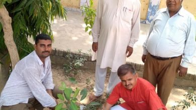 अमांपुर में पौधारोपण कर पर्यावरण को बचाने का लिया संकल्प