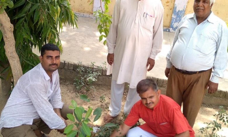 अमांपुर में पौधारोपण कर पर्यावरण को बचाने का लिया संकल्प अमांपुर में पौधारोपण कर पर्यावरण को बचाने का लिया संकल्प