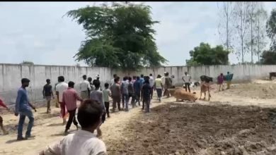 कासगंज-कान्हा गौशाला में चारा खत्म को लेकर बवाल,गुस्साए स्थानीय लोगों ने रोड जाम कर उठाई कार्रवाई की मांग