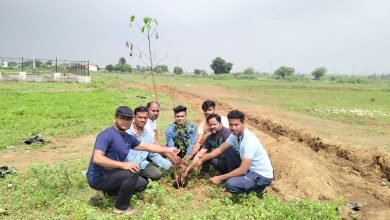 भिलाई: जामुल में छात्र नेता ने वृक्षारोपण कर मनाया जन्मदिन
