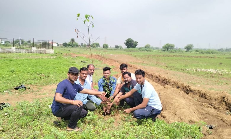 भिलाई: जामुल में छात्र नेता ने वृक्षारोपण कर मनाया जन्मदिन भिलाई: जामुल में छात्र नेता ने वृक्षारोपण कर मनाया जन्मदिन
