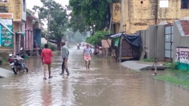 कासगंज: अमापुर में लगातार बारिश से किसान परेशान,धान, मक्का, बाजरा, सरसों की फसल को नुकसान