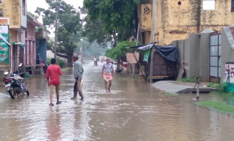 कासगंज: अमापुर में लगातार बारिश से किसान परेशान,धान, मक्का, बाजरा, सरसों की फसल को नुकसान कासगंज: अमापुर में लगातार बारिश से किसान परेशान,धान, मक्का, बाजरा, सरसों की फसल को नुकसान