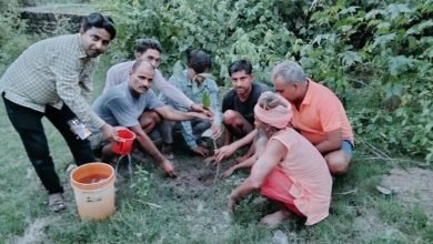 कासगंज: नगरिया मंण्डल के 81 जगहों पर हुआ वृक्षारोपण
