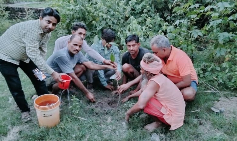 कासगंज: नगरिया मंण्डल के 81 जगहों पर हुआ वृक्षारोपण कासगंज: नगरिया मंण्डल के 81 जगहों पर हुआ वृक्षारोपण