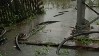 बदायूं: नगर उझानी में बिजली घर में पानी बहुत बुरी तरह भरा नगर में बिजली आपूर्ति ठप