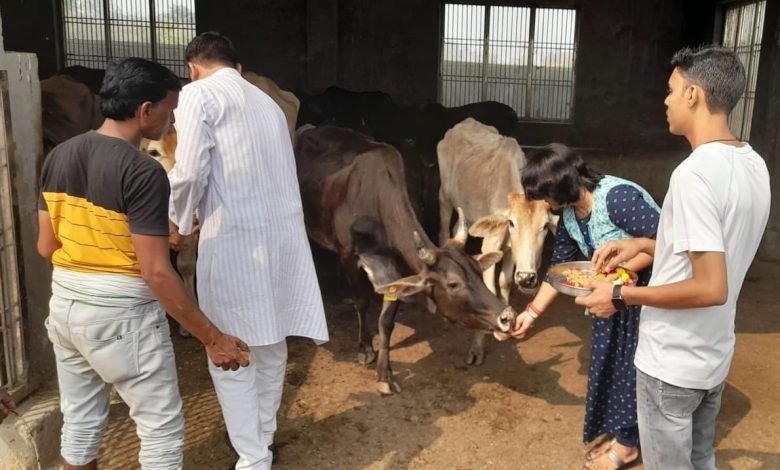 कासगंज: गोपाष्टमी पर ईओं दीपिका शुक्ला संग चैयरमेन चांद अली ने कान्हा गौशाला में गोवंशों को खिलाया गुड़ चारा कासगंज: गोपाष्टमी पर ईओं दीपिका शुक्ला संग चैयरमेन चांद अली ने कान्हा गौशाला में गोवंशों को खिलाया गुड़ चारा