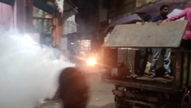 कासगंज: अमांपुर में नगर पंचायत ने कराई फोगिंग