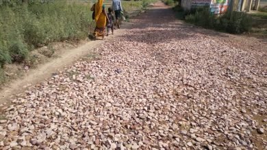 कासगंज: अमांपुर के हरथरा मार्ग पर साल भर से पड़ी गिटिटयां, अब तक नही बनी 1 किलोमीटर लंबी सड़क,ग्रामीण परेशान