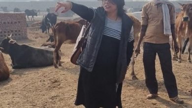 कासगंज: ईओं दीपिका शुक्ला ने कान्हा गौशाला का नए अंदाज किया निरीक्षण…फिर