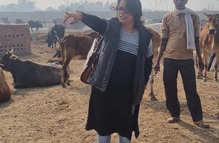कासगंज: ईओं दीपिका शुक्ला ने कान्हा गौशाला का नए अंदाज किया निरीक्षण…फिर कासगंज: ईओं दीपिका शुक्ला ने कान्हा गौशाला का नए अंदाज किया निरीक्षण…फिर