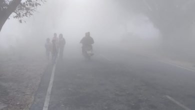 कासगंज: कोहरे ने तानी चादर, कोहरा देख खिले किसानों के चेहरे