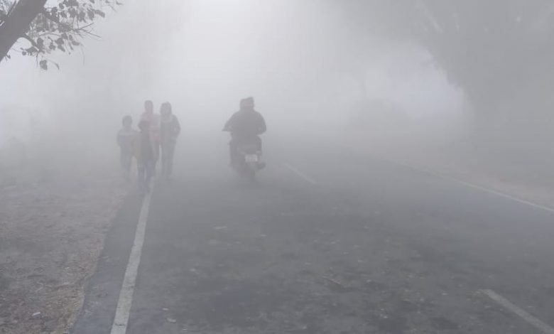 कासगंज: कोहरे ने तानी चादर, कोहरा देख खिले किसानों के चेहरे