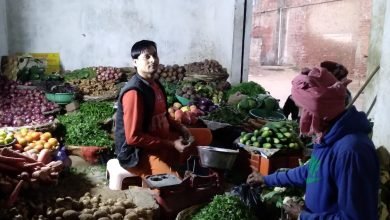 कासगंज: सब्ज़ियों का राजा नया आलू की आवक से दामों में गिरावट
