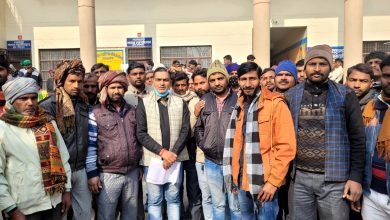 कासगंज: पटियाली तहसील क्षेत्र के दर्जनों गांवों के किसान छुट्टा गोवंश से परेशान