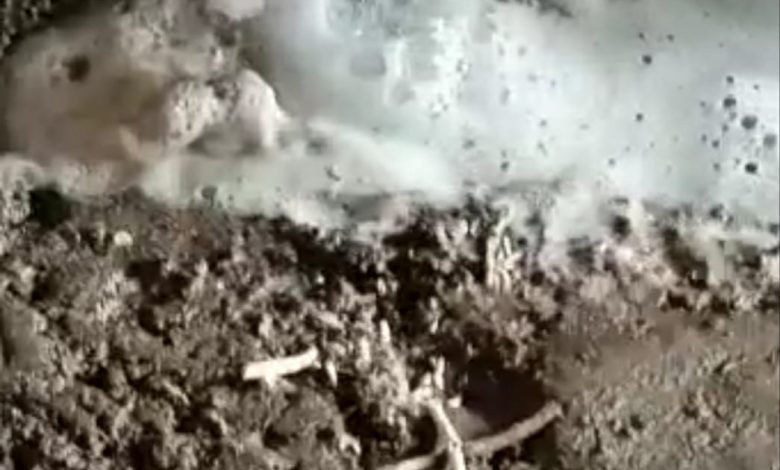 सहावर में सती माता मंदिर पर नीम के पेड़ से निकल रहा सफेद दूध जैसा तरल पदार्थ, लोग मान रहे चमत्कार सहावर में सती माता मंदिर पर नीम के पेड़ से निकल रहा सफेद दूध जैसा तरल पदार्थ, लोग मान रहे चमत्कार