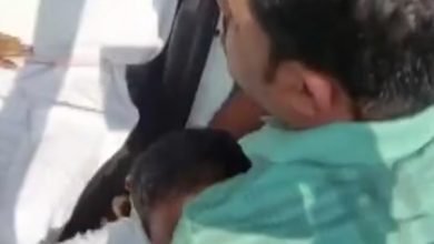 ओडिशा के स्वास्थ्य मंत्री पर जानलेवा हमला,स्वास्थ्य मंत्री ने अस्पताल में दम तोड़ा