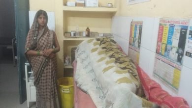 तेज रफ्तार इको कार ने बैलगाड़ी में मारी पीछे से टक्कर तीन घायल