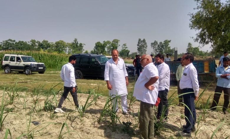 किसानों की गन्ना फसल का निरीक्षण कर.दिए दिशा निर्देश…