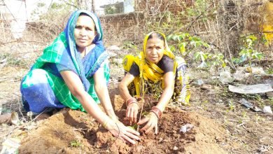 भिलाई:जामुल में पंडित प्रदीप मिश्रा के जन्मदिन पर हुआ वृक्षारोपण