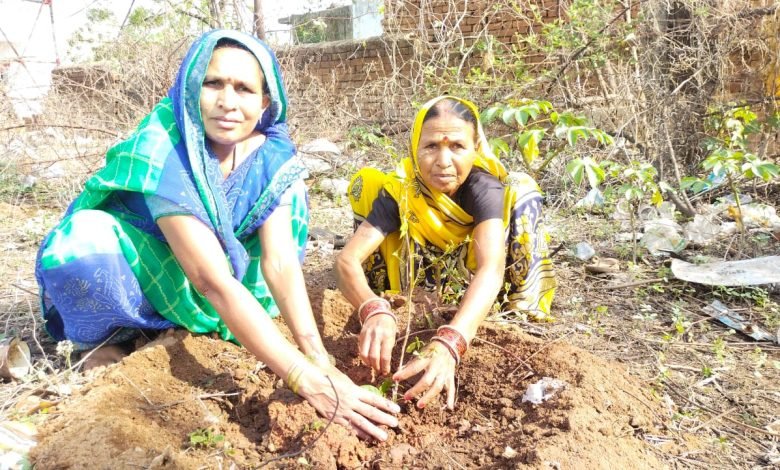 भिलाई:जामुल में पंडित प्रदीप मिश्रा के जन्मदिन पर हुआ वृक्षारोपण