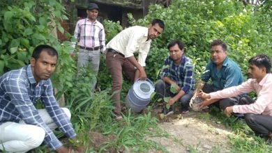 कासगंज: विधुत उपकेंद्र पर वन महोत्सव अभियान के तहत रोपित किए पौधे