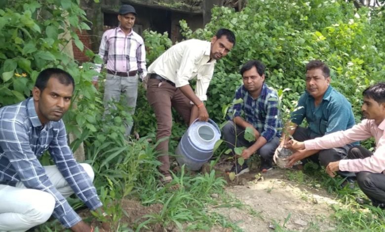 कासगंज: विधुत उपकेंद्र पर वन महोत्सव अभियान के तहत रोपित किए पौधे