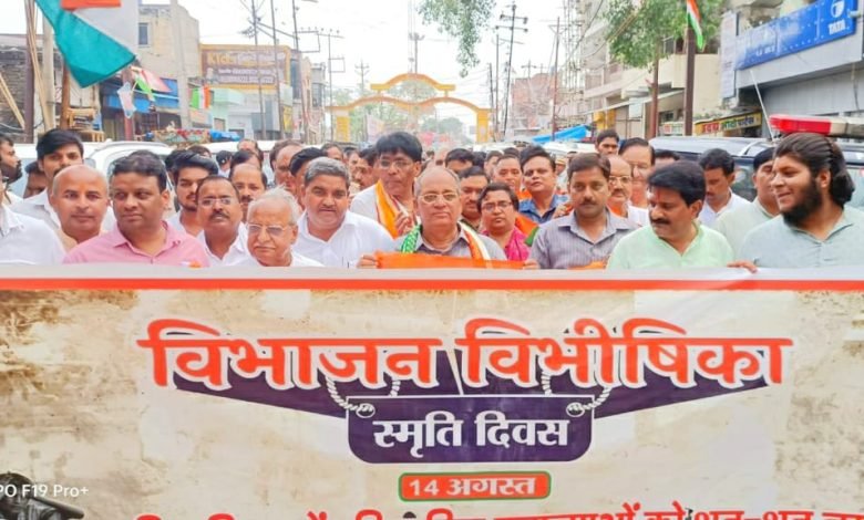 विभाजन विभीषिका स्मृति दिवस पर भाजपा की विचार गोष्ठी संपंन विभाजन विभीषिका स्मृति दिवस पर भाजपा की विचार गोष्ठी संपंन