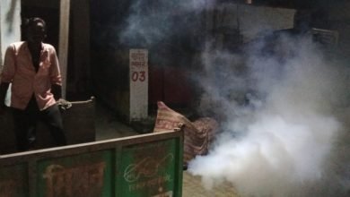 मच्छरों के खात्मे को अमांपुर नगर पंचायत ने कराई फॉगिग