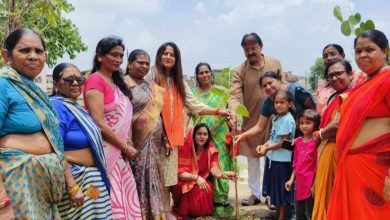 एक पेड़ मांँ के नाम सफाई अभियान चलाकर किया वृक्षारोपण