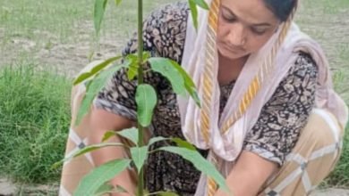 मानपुर नगरिया में किया वृक्षारोपण,किया जागरूक…जानिए