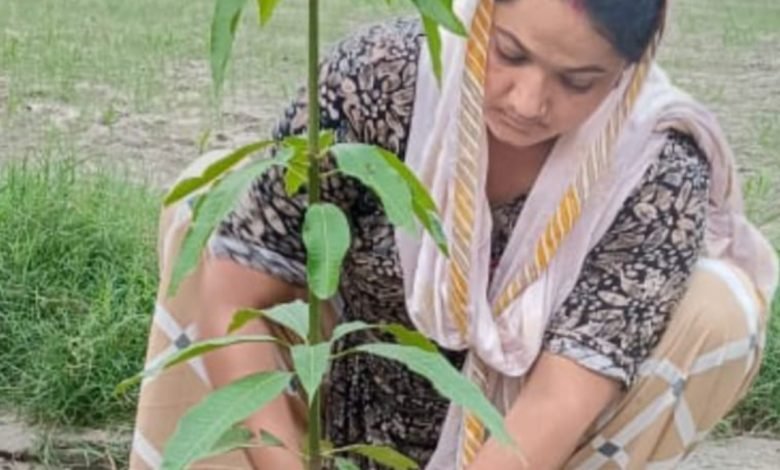 मानपुर नगरिया में किया वृक्षारोपण,किया जागरूक…जानिए