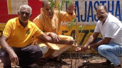 शनि मंदिर समिति ने पौधा रोपण कर दिया संदेश