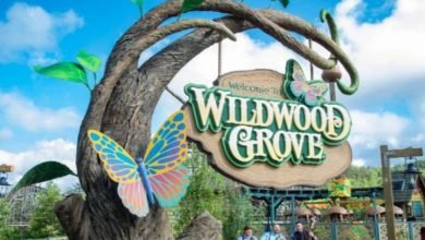 भिलाई: युवा खेल एवं सांस्कृतिक मंडल द्वारा इस बार बहुत खास दुर्गा पूजा एवं दशहरा उत्सव- चन्ना