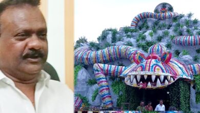 भिलाई में नवरात्रि पर सजा “ड्रैगन थीम”का भव्य दुर्गा पंडाल