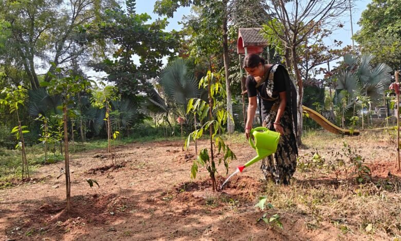 उद्यानों में साफ-सफाई एवं पानी सिंचाई कार्य जारी उद्यानों में साफ-सफाई एवं पानी सिंचाई कार्य जारी