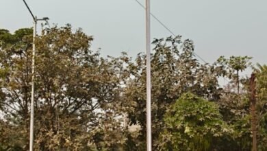 भाजपा जिला कार्यालय में गणतंत्र दिवस पर भव्य आयोजन, ध्वजारोहण के साथ गूंजे देशभक्ति के नारे