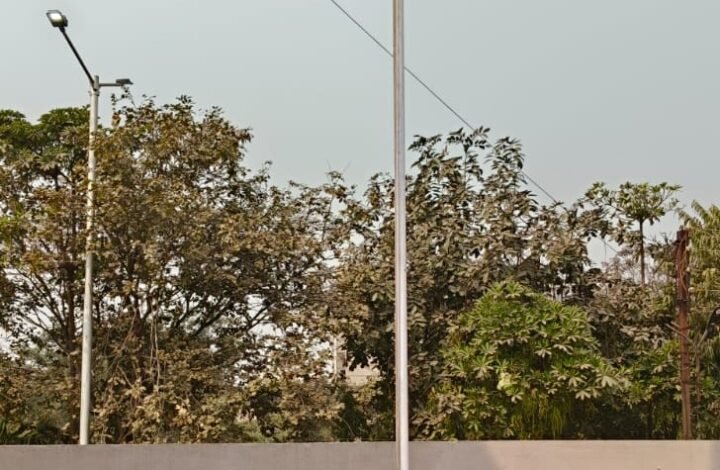 भाजपा जिला कार्यालय में गणतंत्र दिवस पर भव्य आयोजन, ध्वजारोहण के साथ गूंजे देशभक्ति के नारे