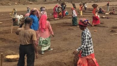 नवा तरिया निर्माण से गांवों में बढ़ेगा जल संरक्षण और रोजगार मनरेगा के तहत दुर्ग जिले में तेज हुए निर्माण कार्य, किसानों और महिलाओं को मिलेगा लाभ नवा तरिया निर्माण से गांवों में बढ़ेगा जल संरक्षण और रोजगार मनरेगा के तहत दुर्ग जिले में तेज हुए निर्माण कार्य, किसानों और महिलाओं को मिलेगा लाभ