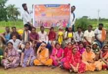 दुर्ग जिले की ग्राम पंचायतों में ‘चावल महोत्सव’ के साथ रोजगार दिवस एवं आवास दिवस का आयोजन