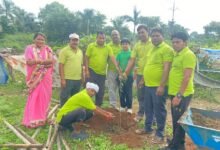 लगातार बारिश के बीच वृक्षारोपण और स्वच्छता अभियान, पर्यावरण संरक्षण का दिया संदेश